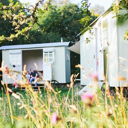 Snowdonia Shepherds' Huts Conwy Exterior foto