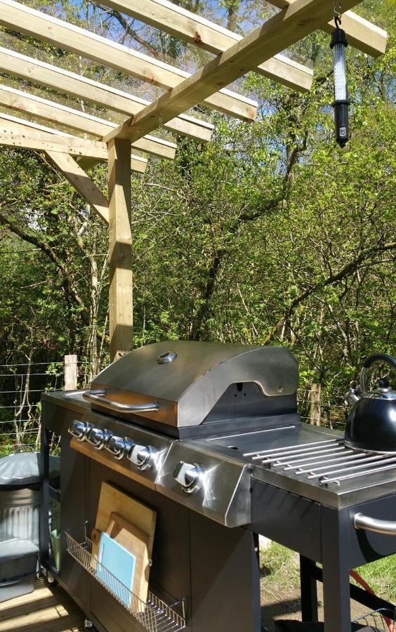 Snowdonia Shepherds' Huts Conwy Exterior foto