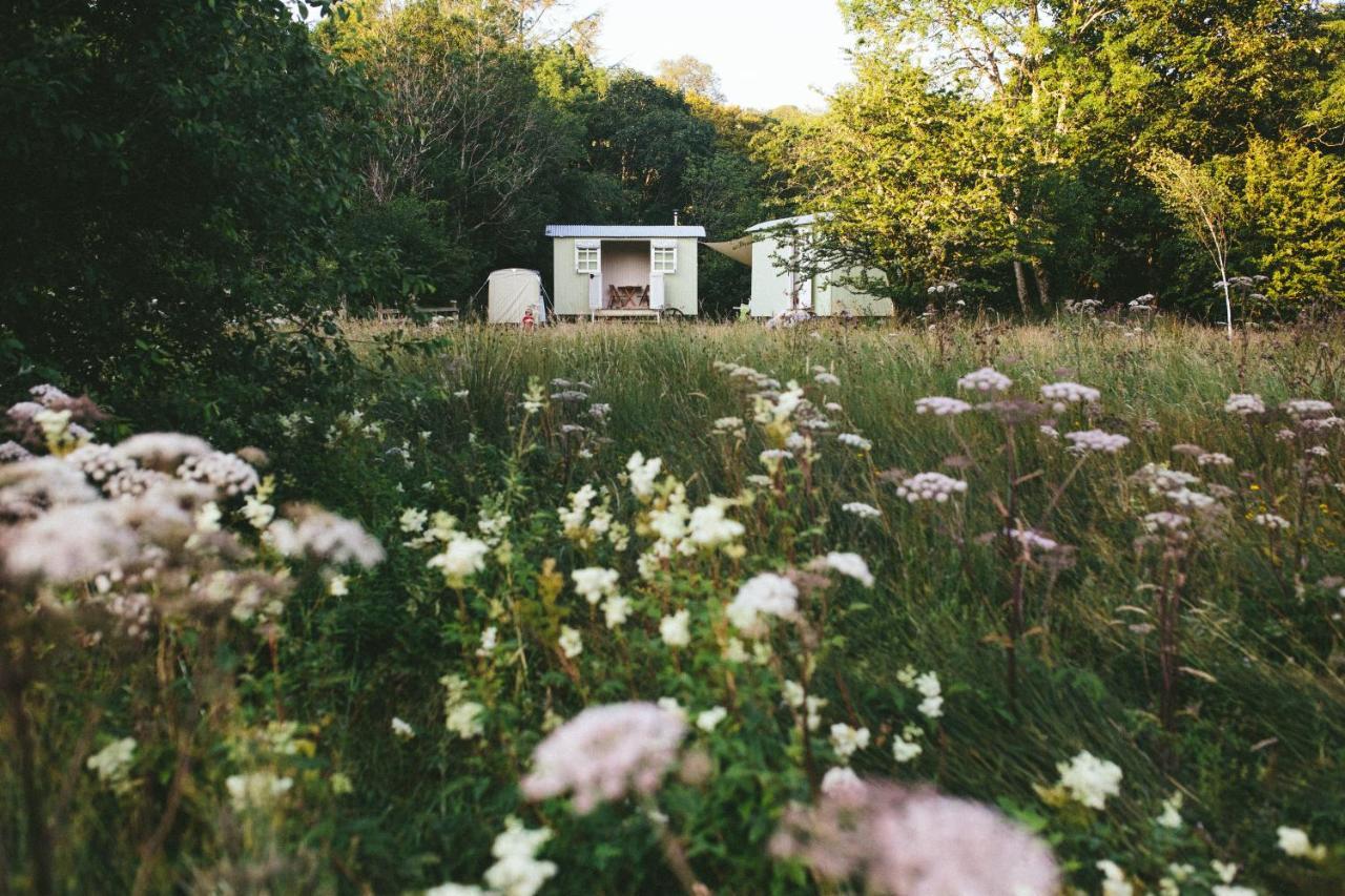 Snowdonia Shepherds' Huts Conwy Exterior foto