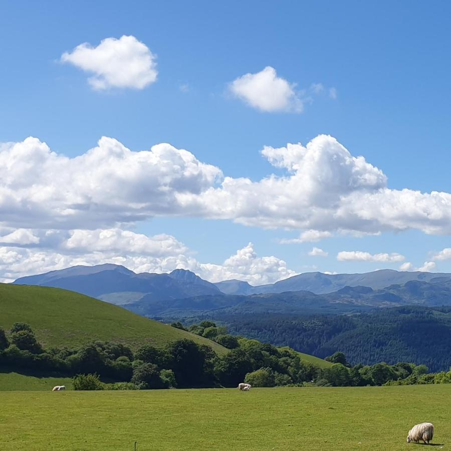 Snowdonia Shepherds' Huts Conwy Exterior foto
